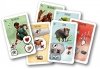 Lucky Duck Games Gra Paleo (PL )