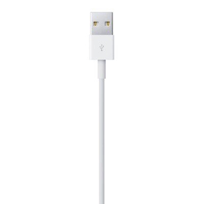 Apple Lightning to USB Cable (2 m)