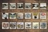 La Der des Ders - The War to End War