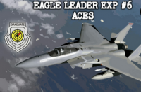 Eagle Leader Exp #6 - Aces 