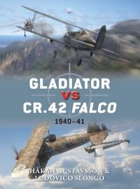 DUEL 047 Gladiator vs CR.42 Falco 