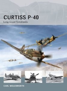 AIR VANGUARD 08 Curtiss P-40