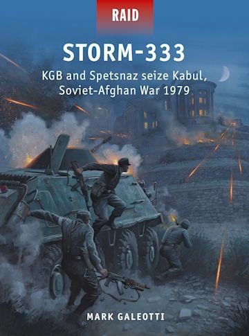 RAID 54 Storm-333