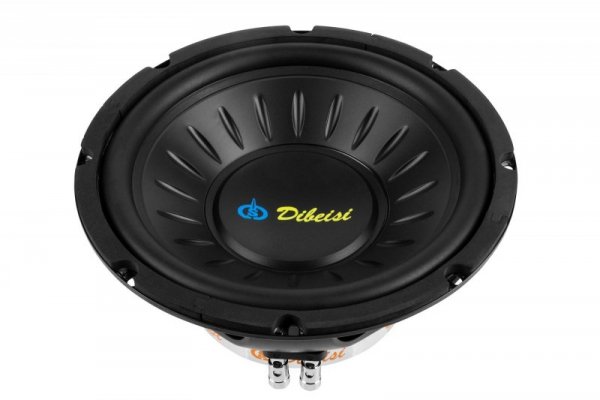 Głośnik 10&quot; DBS-B1023 4 Ohm