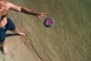 Wodne Frisbee Na Plaże Waboba Flobo Różowy Ananasy