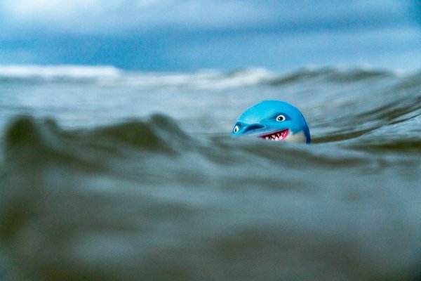 Piłeczka Sharky Shark Rekin Odbija Się Od Wody