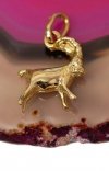 Wisior zodiak koziorożec kuty złoto 585 