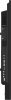 IIYAMA Monitor Digital Signage 43 cale LH4365UHSB-B1 24/7, IPS, ANDROID 11, 4K