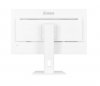 IIYAMA Monitor 27 cali XUB2797QSU-W2,IPS,HDMI,DP,100Hz,QHD,300cd,(5y)