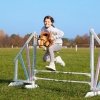 Tootiny Koń na kiju Hobby Horse HOPPIHORSE A3 Chestnut - brąz, maść kasztanowata