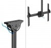 Neomounts Uchwyt do monitora/TV CL35-440BL16L  37-70 cali 50kg