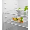 Electrolux Chłodziarko-zamrażarka LNT6NE18S