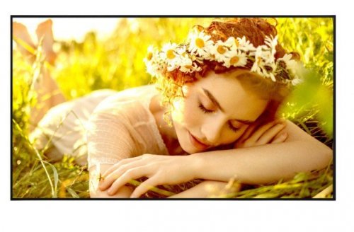 LG Electronics Monitor wielkoformatowy wyświetlacz digital signage 65UL5Q-E 500cd/m2 UHD 24/7