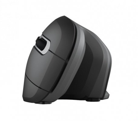 Trust Mysz bezprzewodowa Verro Ergonomic