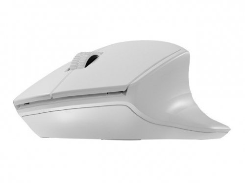 Natec Mysz bezprzewodowa Siskin 2 1600 DPI Bluetooth 5.0 + 2.4GHz, biała