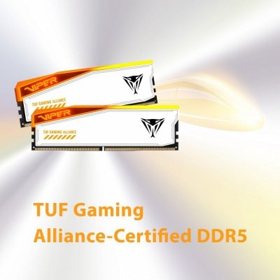 Patriot Pamięć DDR5 Viper Elite 5 RGB TUF 32GB/6000 (2x16GB) CL36