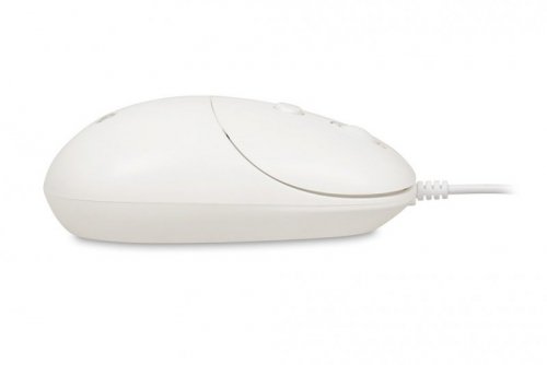 iBOX Mysz  i 011 Seagull