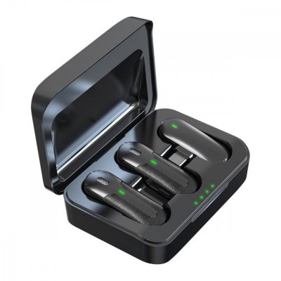 Technaxx Deutschland GmbH & Co. KG Bezprzewodowy mikrofon 2 sztuki TX-301