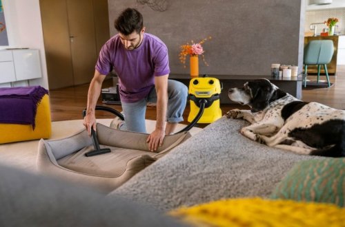 Karcher Ssawka do tapicerki do usuwania sierści zwierząt domowych 2.863 -375.0