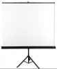 Avtek Ekran na statywie TRIPOD STANDARD 200 (1:1, 200x200cm, powierzchnia biała, matowa) 