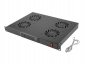 Lanberg Panel wentylacyjny LCD poziomy 1U z termostatem do szaf, 19 cali, 4 wentylatory, 230V, czarny 
