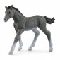 Schleich Figurka Źrebię rasy trakeńskiej 