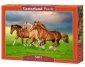 Castor Puzzle 500 elementów Konie biegnące wiosną 