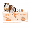 Witte Molen PUUR 2,5kg+0,5kg Guinea Pigs