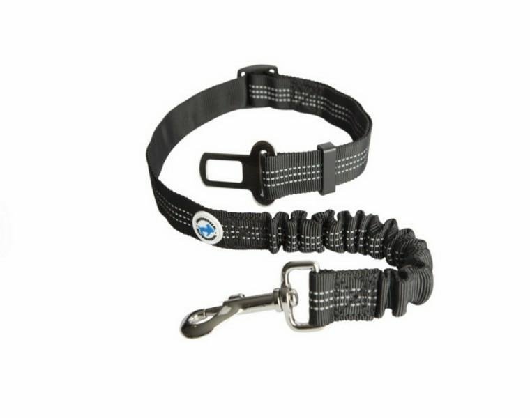 All For Dogs Pas bezpieczeństwa z amortyzatorem