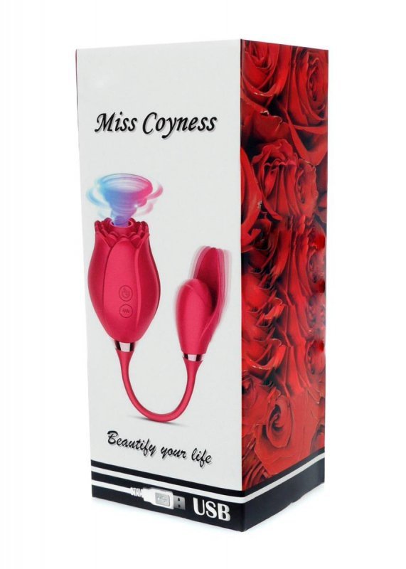 ROSE Róża Miss Coyness USB 10 function