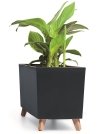 Blumenkasten Blumenkübel mit Füßen Pflanzkübel Case N Übertopf 77cm - Anthrazit