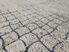 Rasengitter Reitplatzplatten Rasenwaben Gehwegplatten 50x50x2,5cm