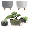 Blumentopf Blumenkübel Schüssel mit Füßen Rund Pflanztopf - 290 Anthrazit