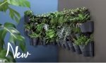 Blumentopf 12er Set Vertikaler Pflanzwand Taschen Wandgarten mit Abfluss - Cascade Wall