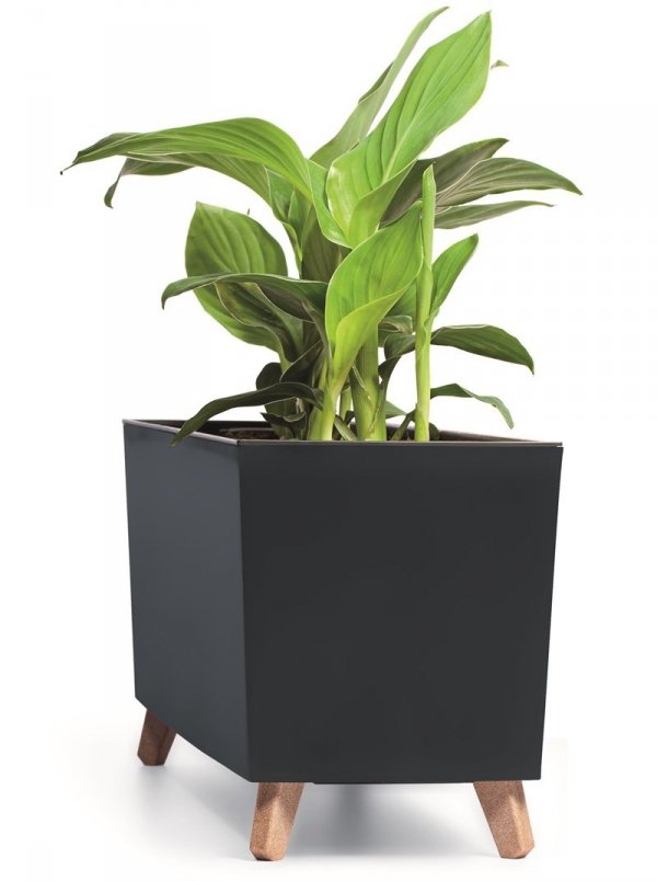 Blumenkasten Blumenkübel mit Füßen Pflanzkübel Case N Übertopf 77cm - Anthrazit