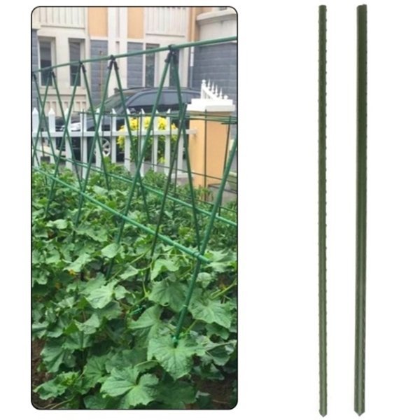Pflanzstab Rankhilfe Pflanzenstütze Pflanzstäbe 180cm 50 Stk