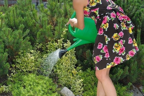 Gießkanne Gartengießkanne Blumengießkanne Kunststoff mit Gießbrause Grün 5L