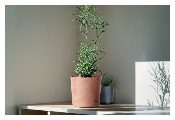 Blumentopf Blumenkübel Rund Beton Effect mit Untersetzer - 400 Anthrazit