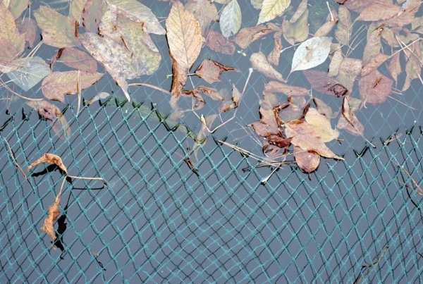 Teichnetz Vogelschutznetz Laubnetz Gartennetz Pflanzenschutznetz 8x8m