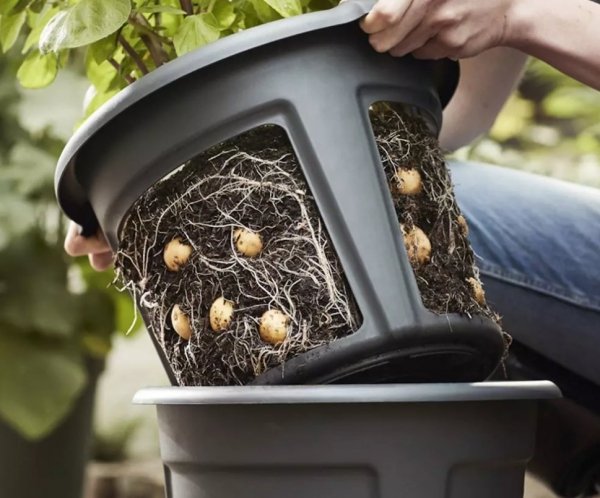 Kartoffel-Pflanztopf Potato Topf Kartoffel-Anzuchttopf 12L