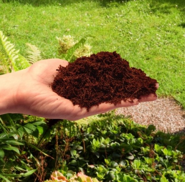 Kokosfasern Blumenerde aus Kokosfaser Kokosnussschalenfasern Sack 5L Kokoserde