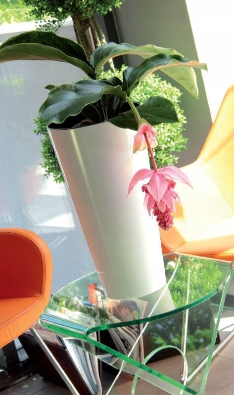 Blumentopf Blumenkübel Pflanztopf Pflanzkübel Hochglanz Rund Glänzend - 400 Weiß