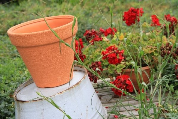 Blumentopf Pflanztopf Massiv classic 35 terrakotta