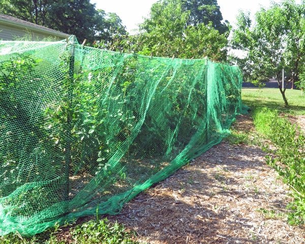 Teichnetz Vogelschutznetz Laubnetz Gartennetz Pflanzenschutznetz 2x10m