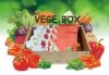 Mix soków warzywnych 100% VEGE BOX 