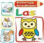Koloruję kredkami. Las