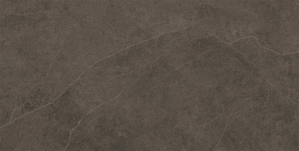 Domino Linva brown 30,8x60,8