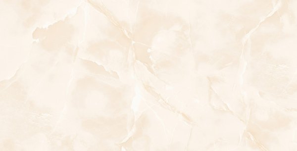 Admire Onyx Poler 60X120