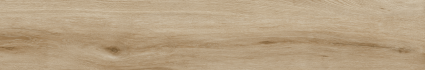 Argenta Milena Nuez 20x120