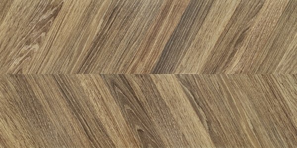 Domino Rainforest wood 119,8x59,8